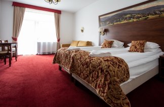 Hotele 4**** - Hotel Buczyński **** Medical & Spa - Pokoje - zdjęcie 3 