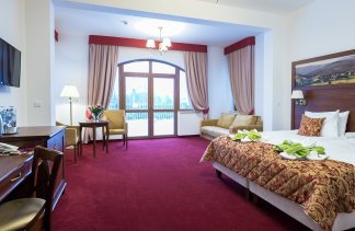 Hotele 4**** - Hotel Buczyński **** Medical & Spa - Pokoje - zdjęcie 4 