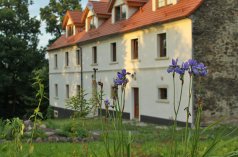 Obiekty konferencyjne - Villa Greta - zdjęcie 3