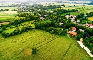 Obiekty konferencyjne - Villa Greta - service - zdjęcie 3 