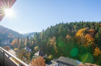 Centrum Konferencyjno-Wypoczynkowe - Centrum Wypoczynku i Rehabilitacji Silesia Krynica - obiekt - zdjęcie 2 