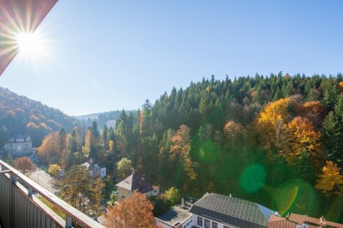 Centrum Konferencyjno-Wypoczynkowe - Centrum Wypoczynku i Rehabilitacji Silesia Krynica - zdjęcie 2