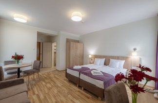 Centrum Konferencyjno-Wypoczynkowe - Centrum Wypoczynku i Rehabilitacji Silesia Krynica - Pokoje - zdjęcie 3 