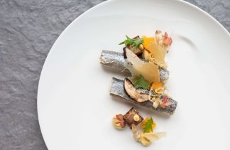 Hotele 4**** - Hotel Natura Residence**** Business & SPA - restaurant - zdjęcie 7 