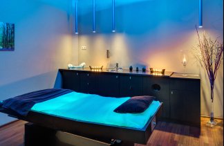 Hotele 4**** - Hotel Natura Residence**** Business & SPA - service - zdjęcie 2 