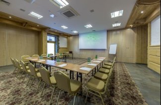 Hotele 3*** - Hotel TOPORÓW*** - obiekt - zdjęcie 9 