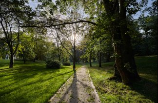 Pałace - Pałac Poledno - obiekt - zdjęcie 36 