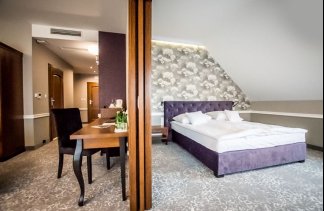 Pałace - Pałac Poledno - Pokoje - zdjęcie 1 