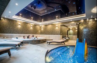 Pałace - Pałac Poledno - service - zdjęcie 4 