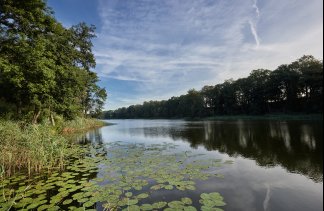 Pałace - Pałac Poledno - service - zdjęcie 10 