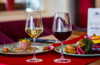 Hotele SPA - Złoty Groń Resort & Spa - obiekt - zdjęcie 15 