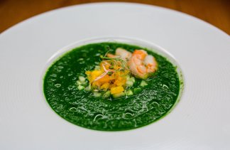 Hotele SPA - Złoty Groń Resort & Spa - restaurant - zdjęcie 10 