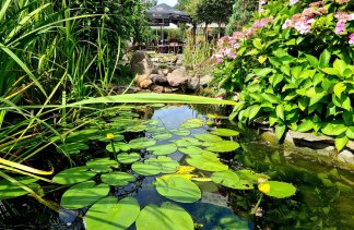 Hotele ** - Dom Oliwski - obiekt - zdjęcie 19 