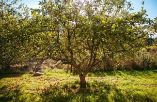 Obiekty konferencyjne - Przystanek Kozia Góra - service - zdjęcie 10 