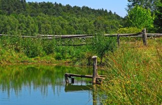 Obiekty konferencyjne - Przystanek Kozia Góra - service - zdjęcie 9 