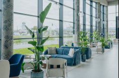 Hotele 3*** - Arche Hotel Lotnisko Gdańsk - zdjęcie 4