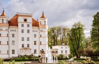 Pałace - Pałac Wojanów - obiekt - zdjęcie 8 