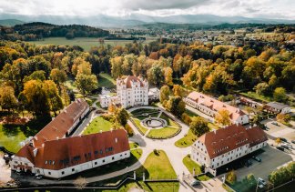 Pałace - Pałac Wojanów - obiekt - zdjęcie 4 