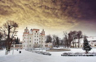 Pałace - Pałac Wojanów - obiekt - zdjęcie 9 