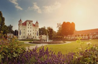 Pałace - Pałac Wojanów - obiekt - zdjęcie 6 