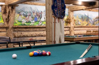 Ośrodki konferencyjne - Willa Cztery Pory Roku - obiekt - zdjęcie 50 