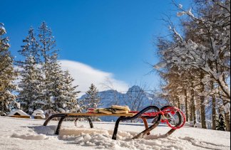 Ośrodki konferencyjne - Willa Cztery Pory Roku - obiekt - zdjęcie 29 