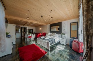 Ośrodki konferencyjne - Willa Cztery Pory Roku - Pokoje - zdjęcie 7 