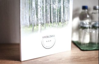 Hotele 3*** - Wróblówka - obiekt - zdjęcie 10 