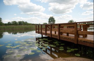 Dworki - Dworek Biesiadny w Radzewicach - obiekt - zdjęcie 26 