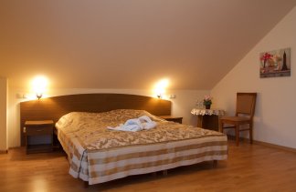 Dworki - Dworek Biesiadny w Radzewicach - Pokoje - zdjęcie 1 