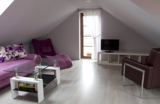 Dworki - Dworek Biesiadny w Radzewicach - Pokoje - zdjęcie 10 