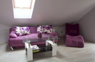 Dworki - Dworek Biesiadny w Radzewicach - Pokoje - zdjęcie 9 