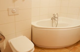 Dworki - Dworek Biesiadny w Radzewicach - Pokoje - zdjęcie 8 