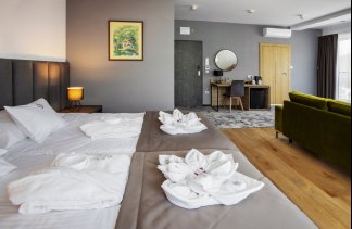 Hotele 4**** - Beskid Balneo Medical Resort & SPA - obiekt - zdjęcie 6 