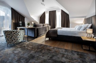 Hotele 4**** - Beskid Balneo Medical Resort & SPA - obiekt - zdjęcie 8 