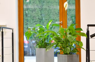 Hotele ** - Hotel Fotex - obiekt - zdjęcie 8 