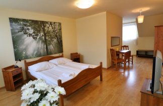 Hotele 3*** - Hotel *** VESTA - obiekt - zdjęcie 6 