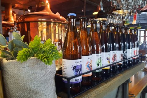 Restauracje - Restauracja & Browar Złoty Pies - zdjęcie 2