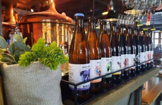 Restauracje - Restauracja & Browar Złoty Pies - service - zdjęcie 2 