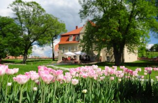 Obiekty konferencyjne - Olandia - obiekt - zdjęcie 1 