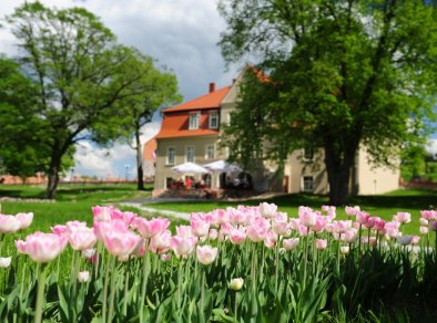 Olandia - sale konferencyjne Kwilcz