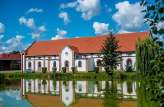 Pałace - Pałac w Racocie - Stadnina Koni Racot Sp. z o.o. - obiekt - zdjęcie 8 