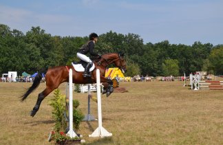 Pałace - Pałac w Racocie - Stadnina Koni Racot Sp. z o.o. - service - zdjęcie 1 