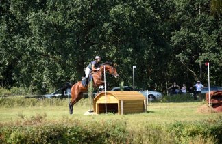 Pałace - Pałac w Racocie - Stadnina Koni Racot Sp. z o.o. - service - zdjęcie 2 