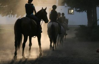 Pałace - Pałac w Racocie - Stadnina Koni Racot Sp. z o.o. - service - zdjęcie 4 