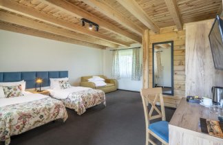 Hotele 3*** - Karczma Łabędź Hotel *** - Pokoje - zdjęcie 15 