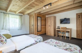 Hotele 3*** - Karczma Łabędź Hotel *** - Pokoje - zdjęcie 14 