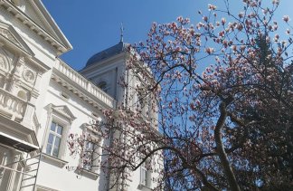 Hotele konferencyjne - Stara Biblioteka - obiekt - zdjęcie 14 
