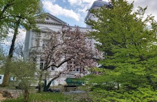 Hotele konferencyjne - Stara Biblioteka - obiekt - zdjęcie 5 