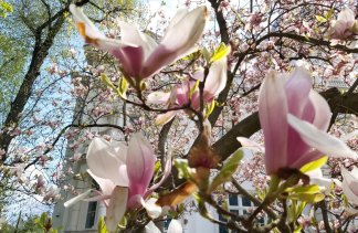 Hotele konferencyjne - Stara Biblioteka - obiekt - zdjęcie 6 
